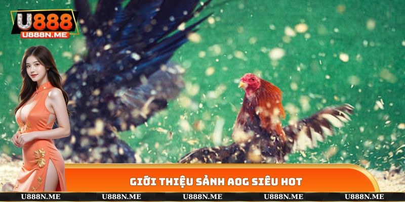 Giới thiệu sảnh AOG siêu hot
