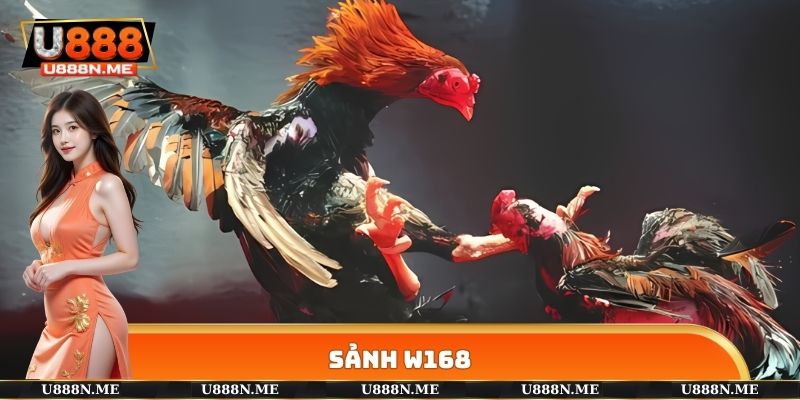 Sảnh W168 - Đơn Vị Cung Cấp Nhiều Trận Đấu Hấp Dẫn 2025